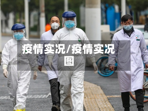 疫情实况/疫情实况图