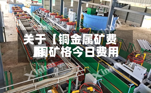 关于【铜金属矿费用
,铜矿格今日费用
】
