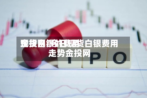 现货白银的费用
金投网/今日现货白银费用
走势金投网-第3张图片