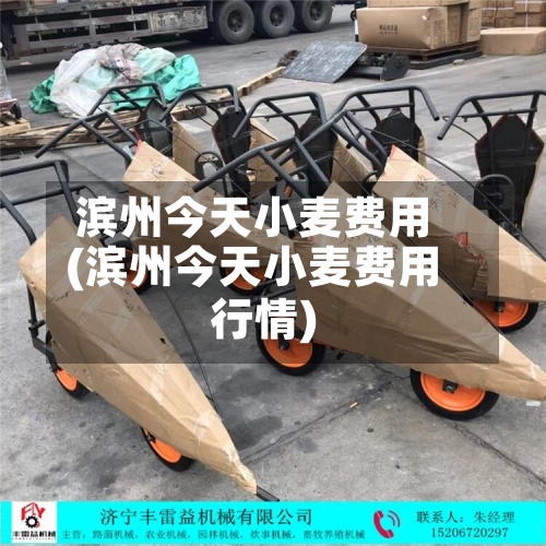 滨州今天小麦费用(滨州今天小麦费用行情)