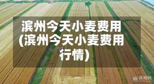 滨州今天小麦费用
(滨州今天小麦费用
行情)-第2张图片