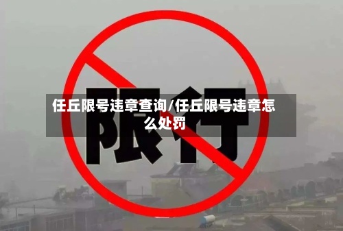 任丘限号违章查询/任丘限号违章怎么处罚-第2张图片
