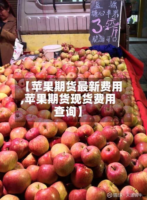 【苹果期货最新费用,苹果期货现货费用查询】