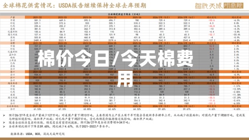 棉价今日/今天棉费用
