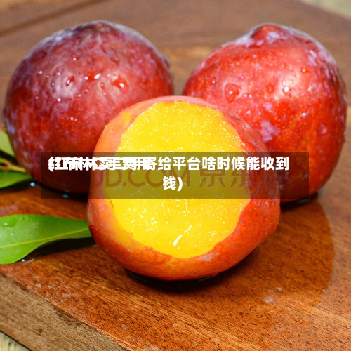 红布林二手费用
(红布林卖二手寄给平台啥时候能收到钱)