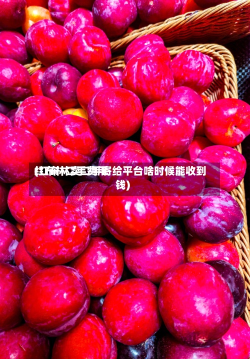 红布林二手费用
(红布林卖二手寄给平台啥时候能收到钱)-第3张图片