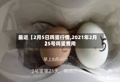 最近【2月5日鸡蛋行情,2021年2月25号鸡蛋费用
】