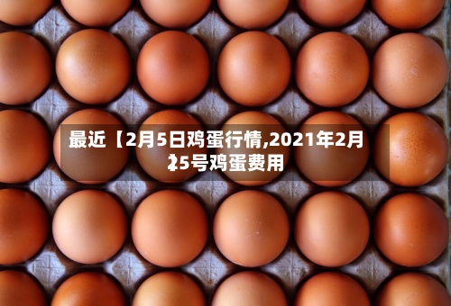 最近【2月5日鸡蛋行情,2021年2月25号鸡蛋费用
】-第3张图片