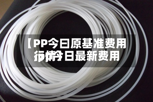 【PP今曰原基准费用
,pp今日最新费用
行情】-第2张图片