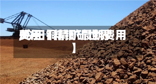 关于【精铜矿世界
费用
,今日铜精矿最新费用
】-第2张图片