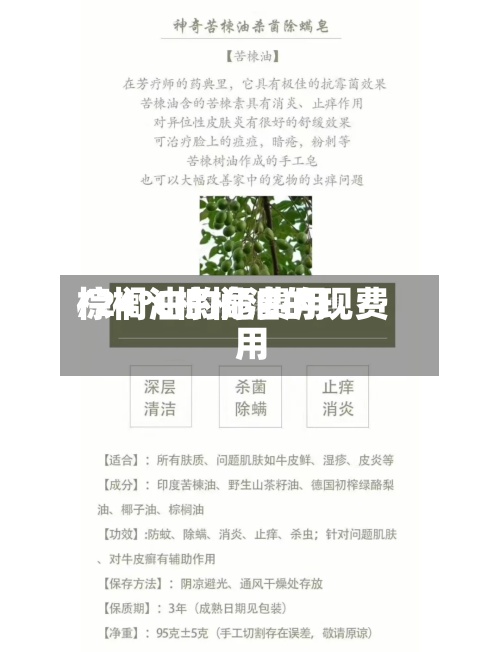 棕榈油的危费用/24℃棕榈油的现费用