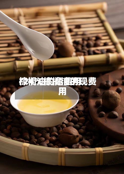 棕榈油的危费用/24℃棕榈油的现费用-第2张图片