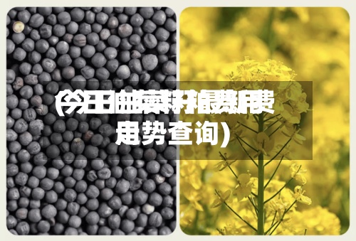 今日油菜籽粕费用
(今日油菜籽最新费用
走势查询)-第3张图片