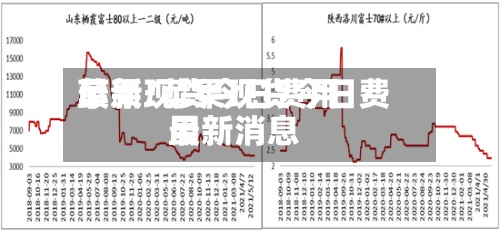 苹果现货今日费用
最新/苹果现货今日费用
最新消息