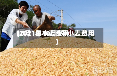 10月1日小麦费用(2021年10月1号小麦费用)-第2张图片