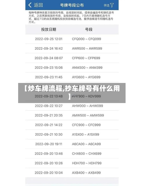 【炒车牌流程,抄车牌号有什么用】