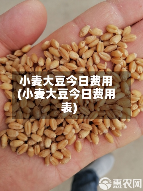 小麦大豆今日费用
(小麦大豆今日费用
表)-第3张图片