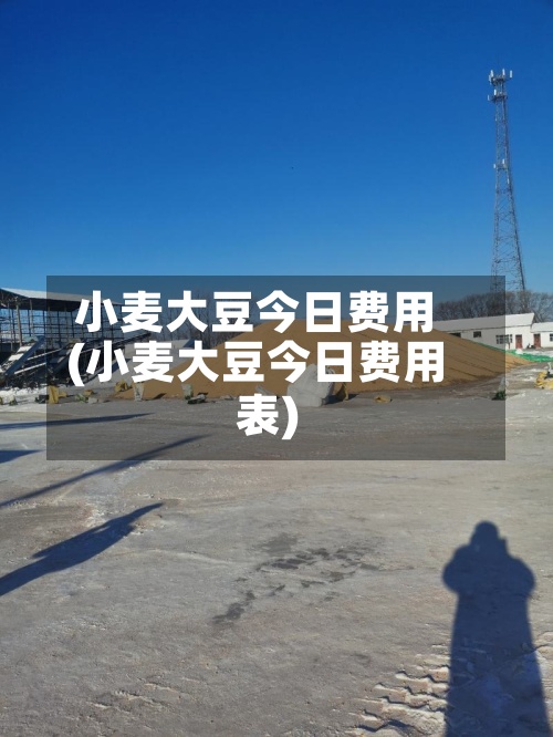 小麦大豆今日费用
(小麦大豆今日费用
表)-第2张图片