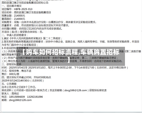 【购车如何招标流程,车辆购置招标】-第3张图片