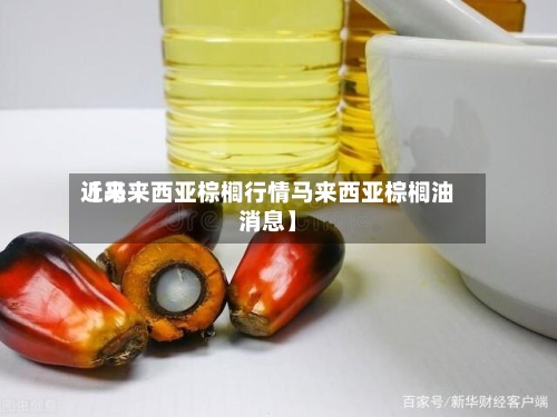 近来【马来西亚棕榈行情马来西亚棕榈油消息】-第3张图片