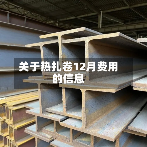 关于热扎卷12月费用的信息