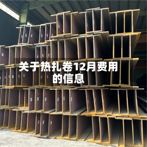 关于热扎卷12月费用
的信息-第2张图片
