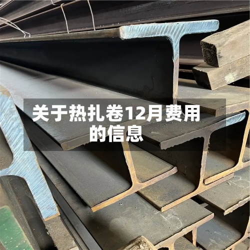 关于热扎卷12月费用
的信息-第3张图片