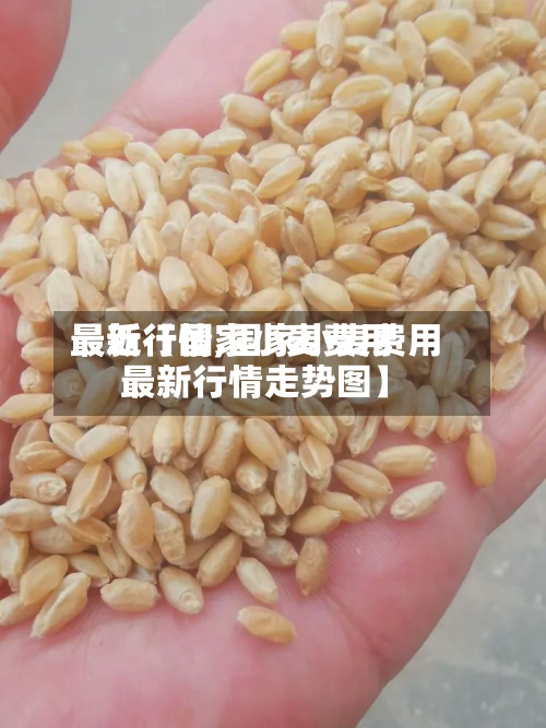 最近【国家小麦费用
最新行情,国家小麦费用
最新行情走势图】-第3张图片