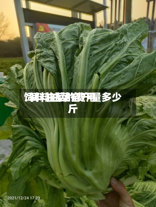 饲料油菜的费用
/饲料油菜亩产量多少斤
