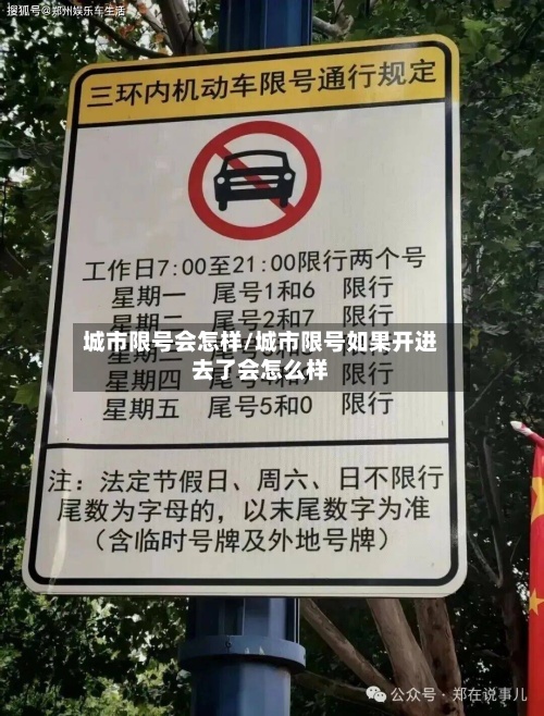 城市限号会怎样/城市限号如果开进去了会怎么样-第2张图片