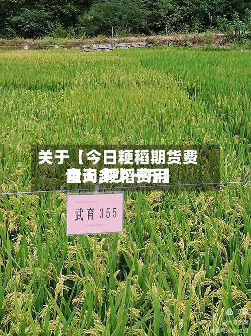 关于【今日粳稻期货费用查询,粳稻费用今天多少一斤】-第2张图片