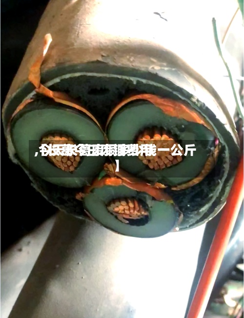 【长葛今曰废铜费用,今天长葛废铜多少钱一公斤】