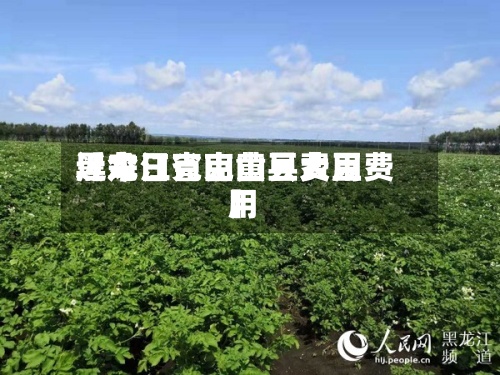 近来
【今日克山黄豆费用
黑龙江省克山县大豆费用
】-第3张图片