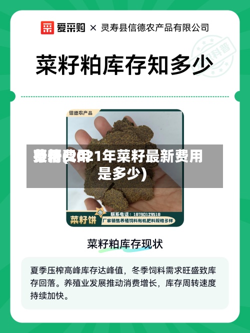 菜籽费用
费用
行情(2021年菜籽最新费用
是多少)