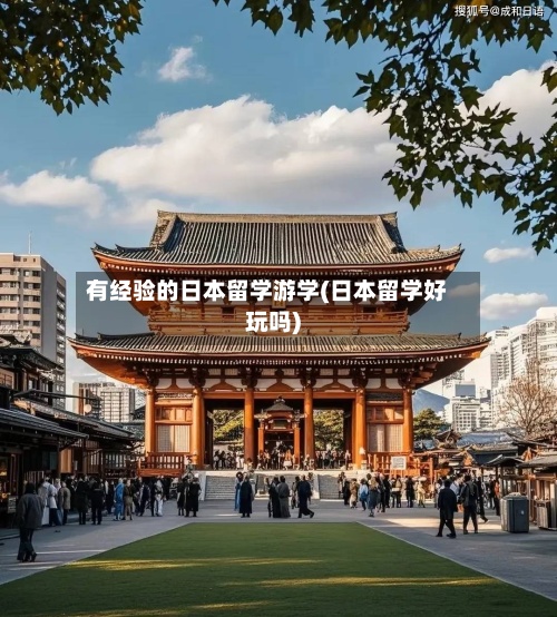 有经验的日本留学游学(日本留学好玩吗)-第2张图片