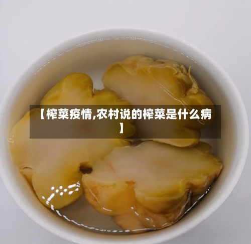 【榨菜疫情,农村说的榨菜是什么病】-第2张图片