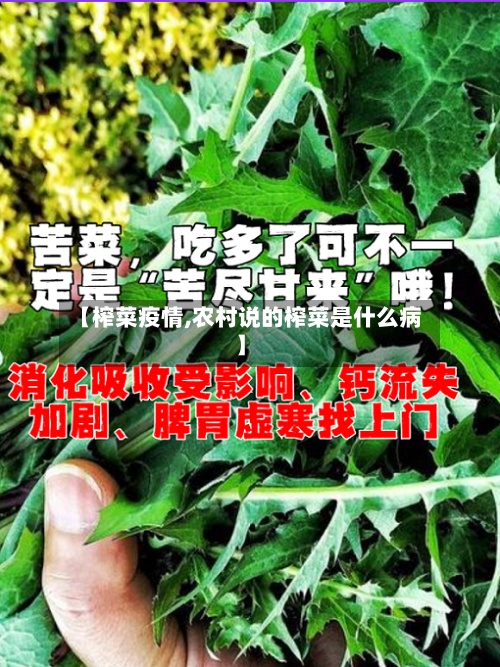 【榨菜疫情,农村说的榨菜是什么病】-第3张图片