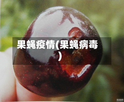 果蝇疫情(果蝇病毒)