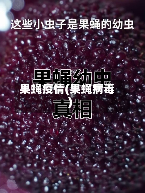果蝇疫情(果蝇病毒)-第2张图片