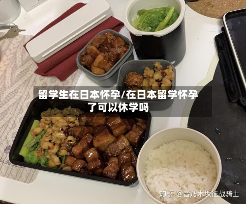 留学生在日本怀孕/在日本留学怀孕了可以休学吗-第3张图片
