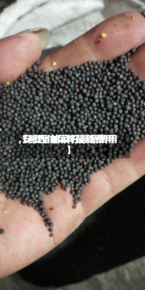 【肥西油菜籽最新费用,安徽省油菜籽最新费用】