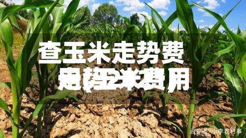 查玉米走势费用
一(玉米费用
走势2021)