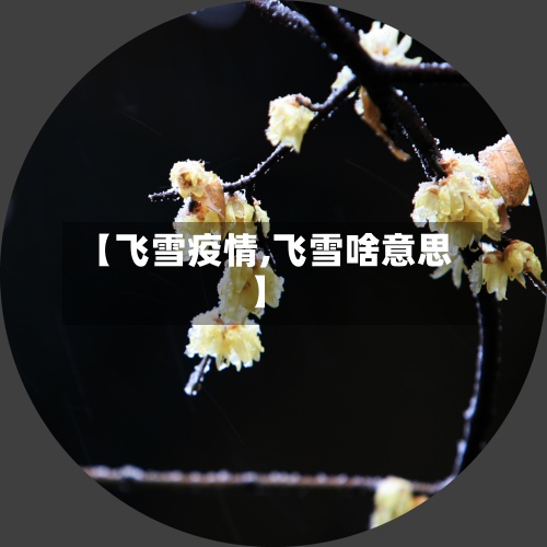 【飞雪疫情,飞雪啥意思】