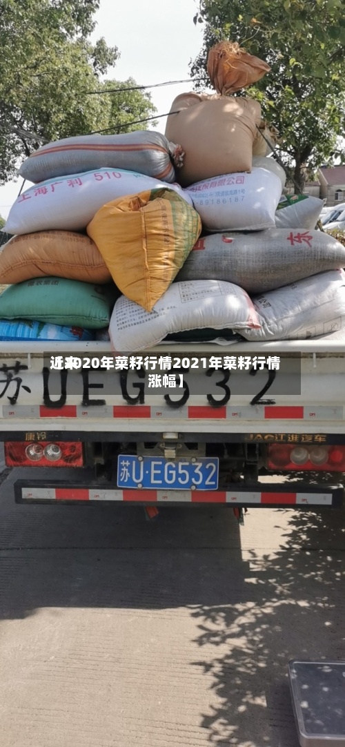 近来【2020年菜籽行情2021年菜籽行情涨幅】