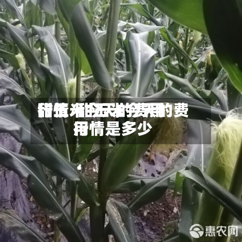 甜玉米今天的费用
行情/甜玉米今天的费用
行情是多少
