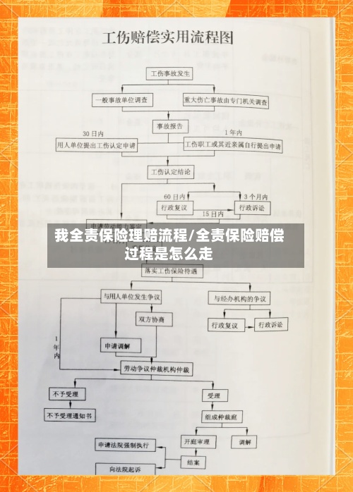 我全责保险理赔流程/全责保险赔偿过程是怎么走