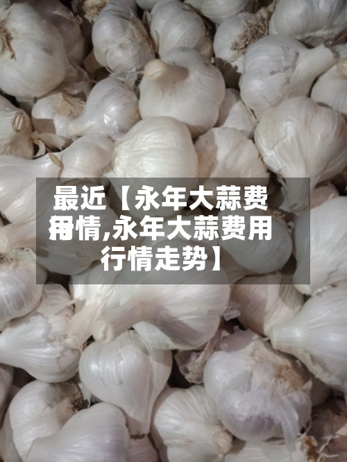 最近【永年大蒜费用
行情,永年大蒜费用
行情走势】-第2张图片