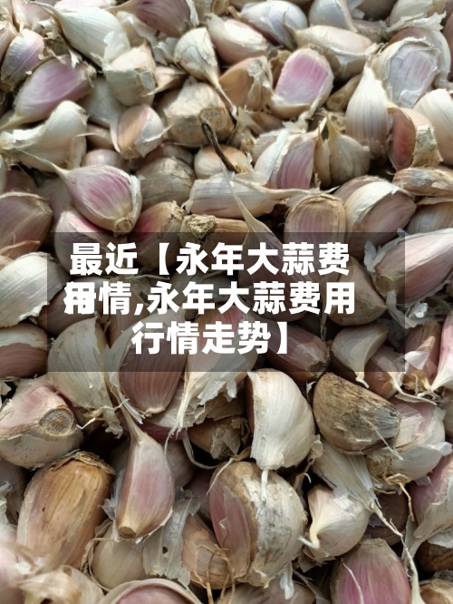 最近【永年大蒜费用
行情,永年大蒜费用
行情走势】-第3张图片