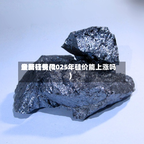金属硅费用
最新行情(2025年硅价能上涨吗)