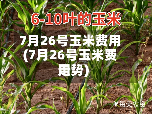 7月26号玉米费用
(7月26号玉米费用
走势)